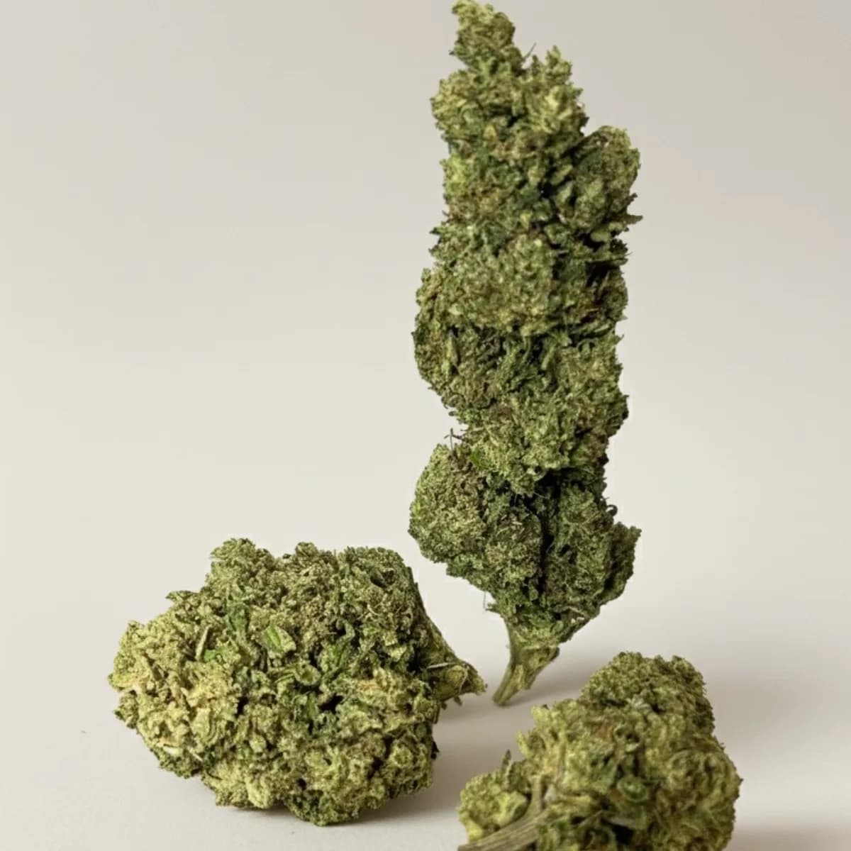 Fleur de CBD Fast Amnesia Greenhouse bio  CBD <18%|